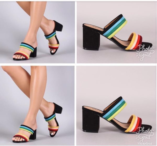 Ladies Multi-Colored Moderate Block Heels Slippers