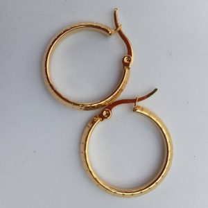 Small loop earrings