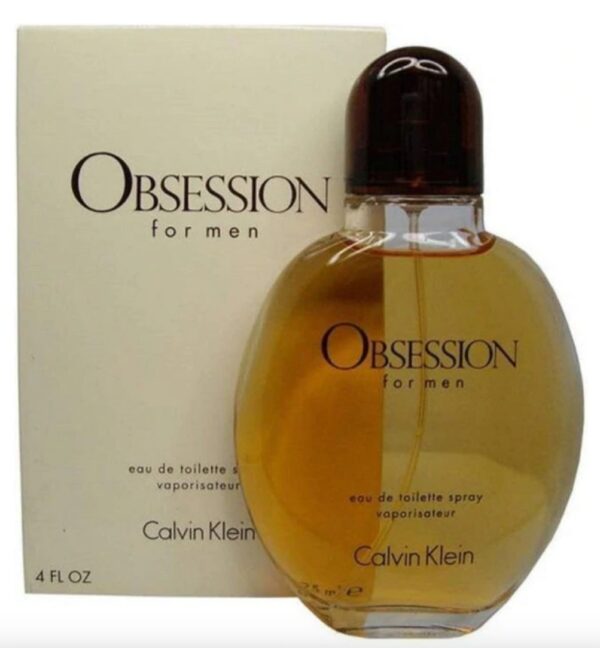 Calvin Klein Obsession For Men Eau de Parfum 100ML