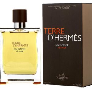Hermes Terre D'Hermes Eau de Parfum Spray for Men 100ML