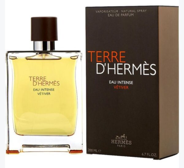 Hermes Terre D'Hermes Eau de Parfum Spray for Men 100ML